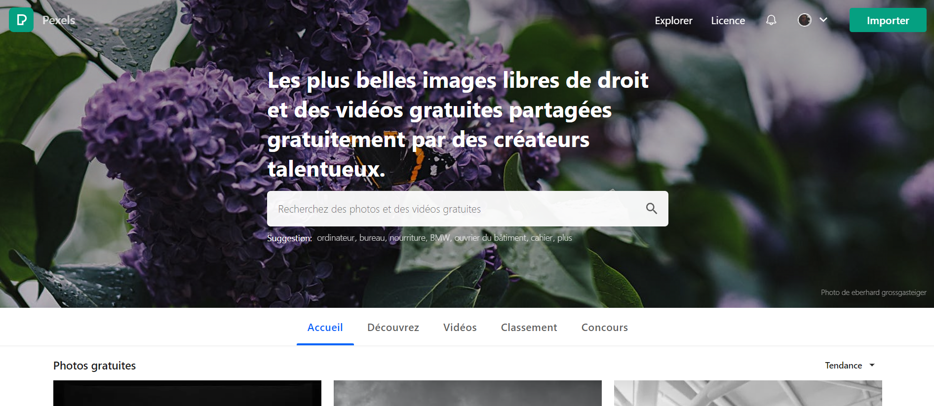 Image de pexels (site d'images libre de droits)